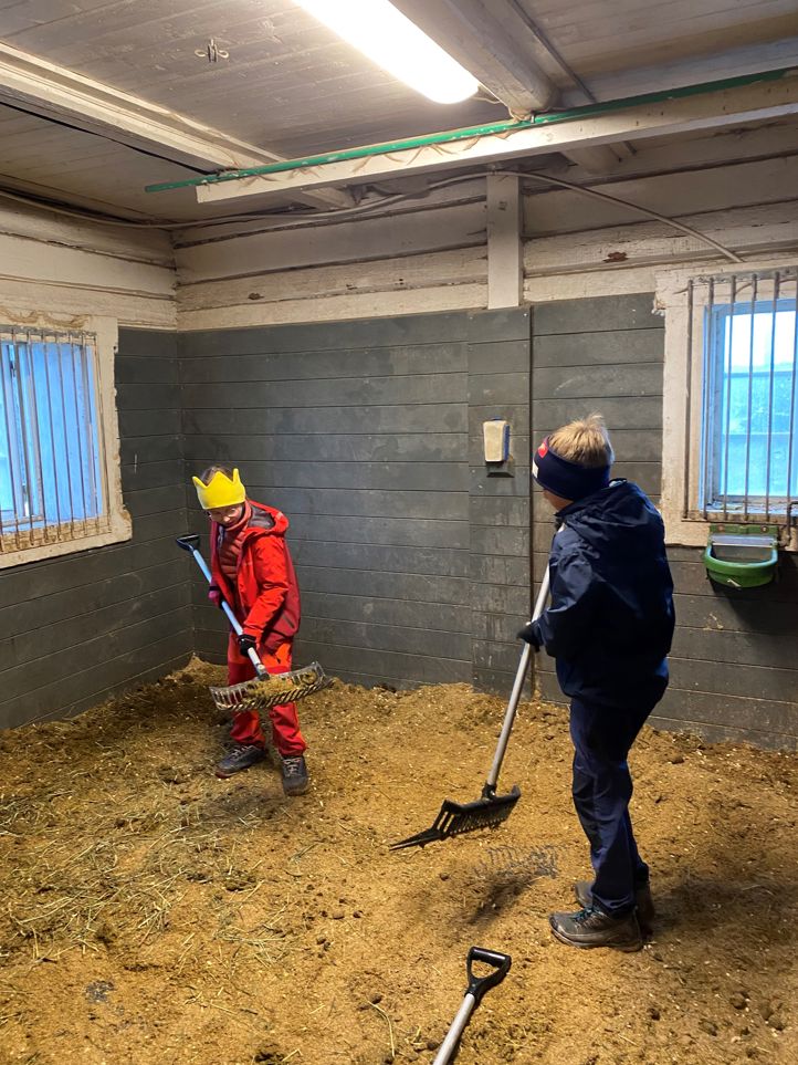 Foto: Hege Dahl Unnerud Elever stall
