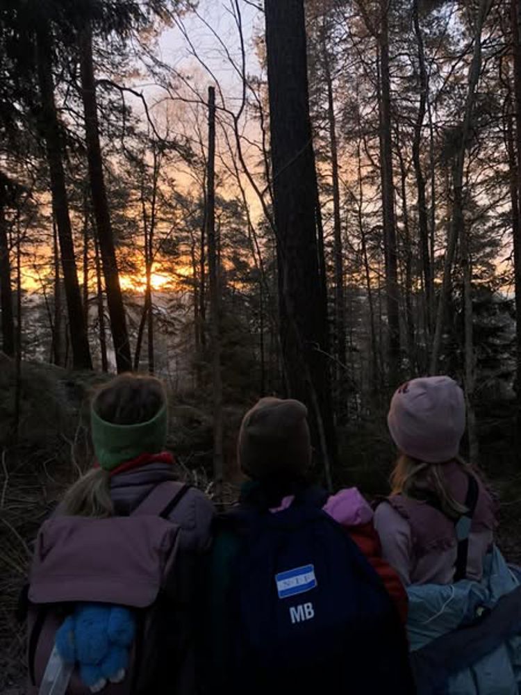 En gruppe mennesker som vandrer i skogen