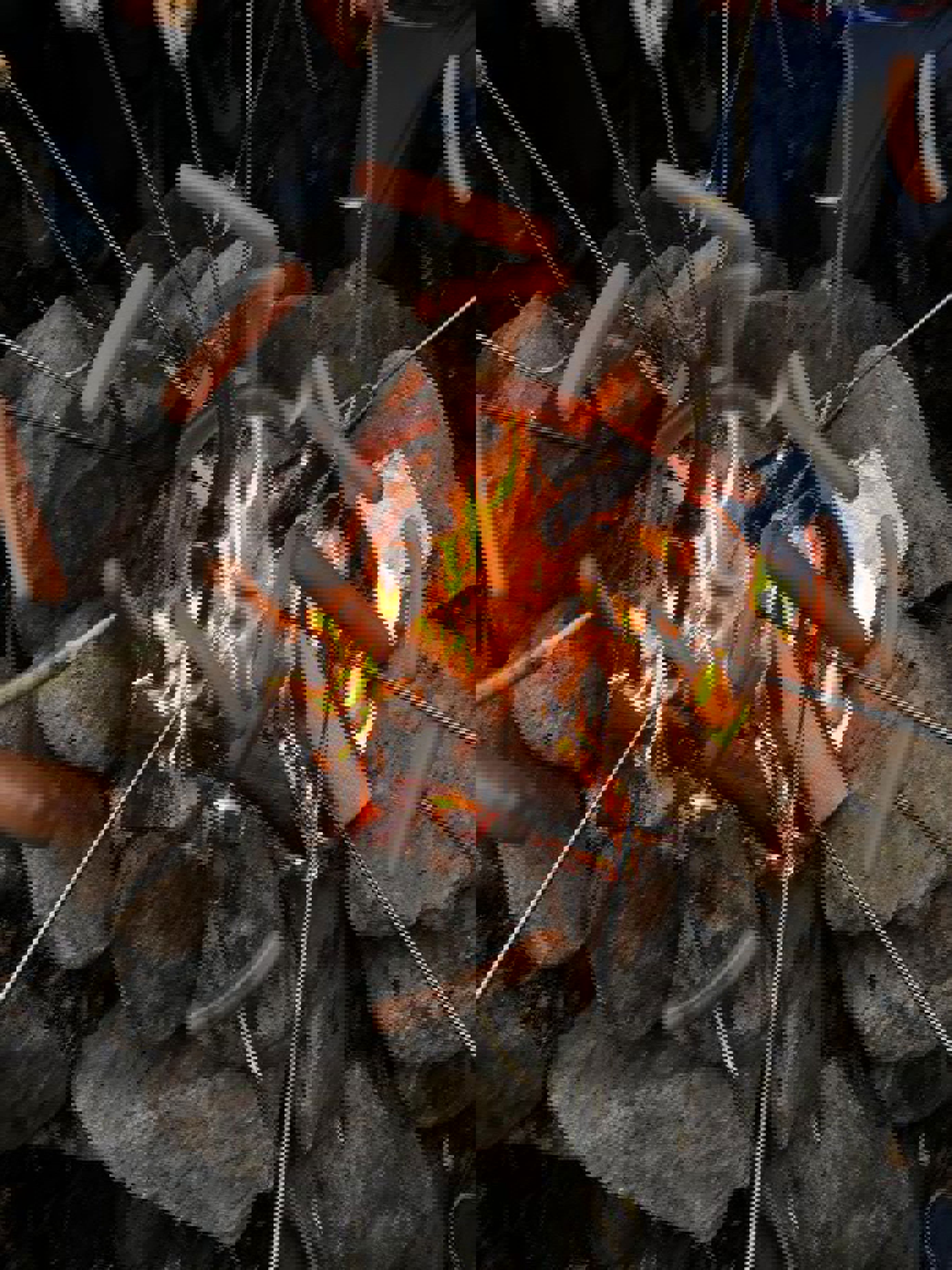 en ild som brenner i en grop