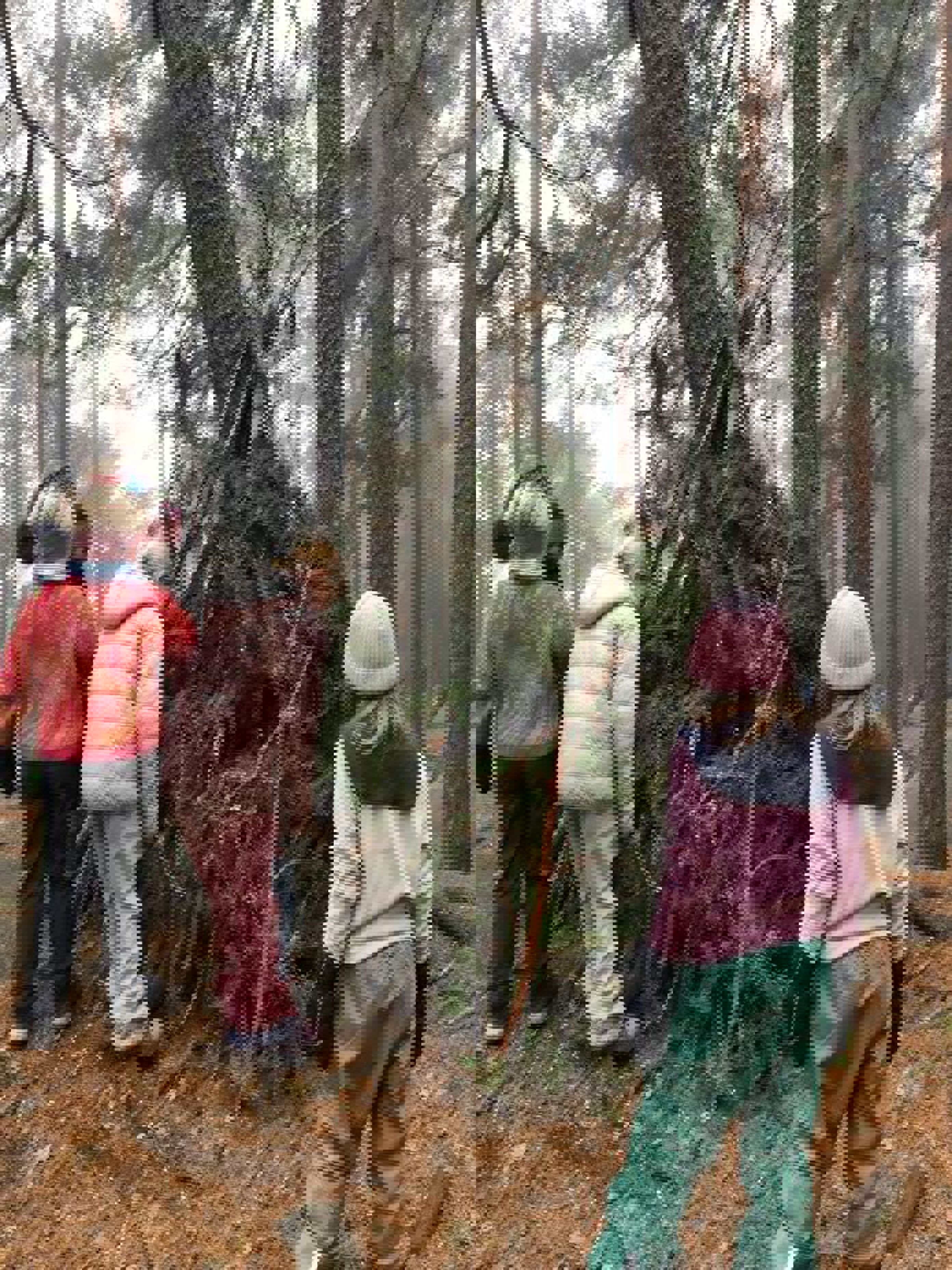 En gruppe mennesker i skogen