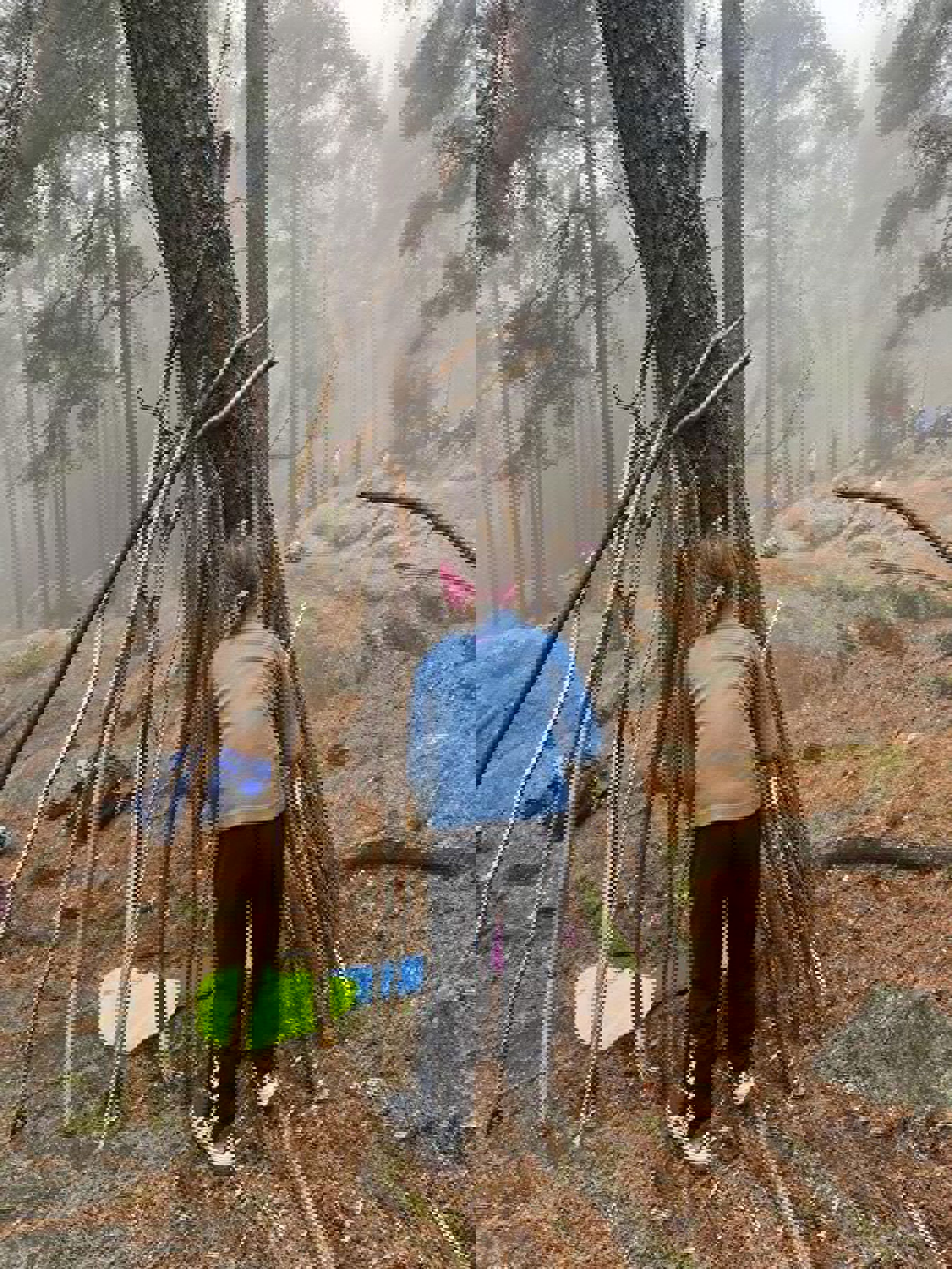 en person som står ved siden av et tre