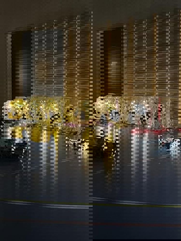 En gruppe lekeroboter