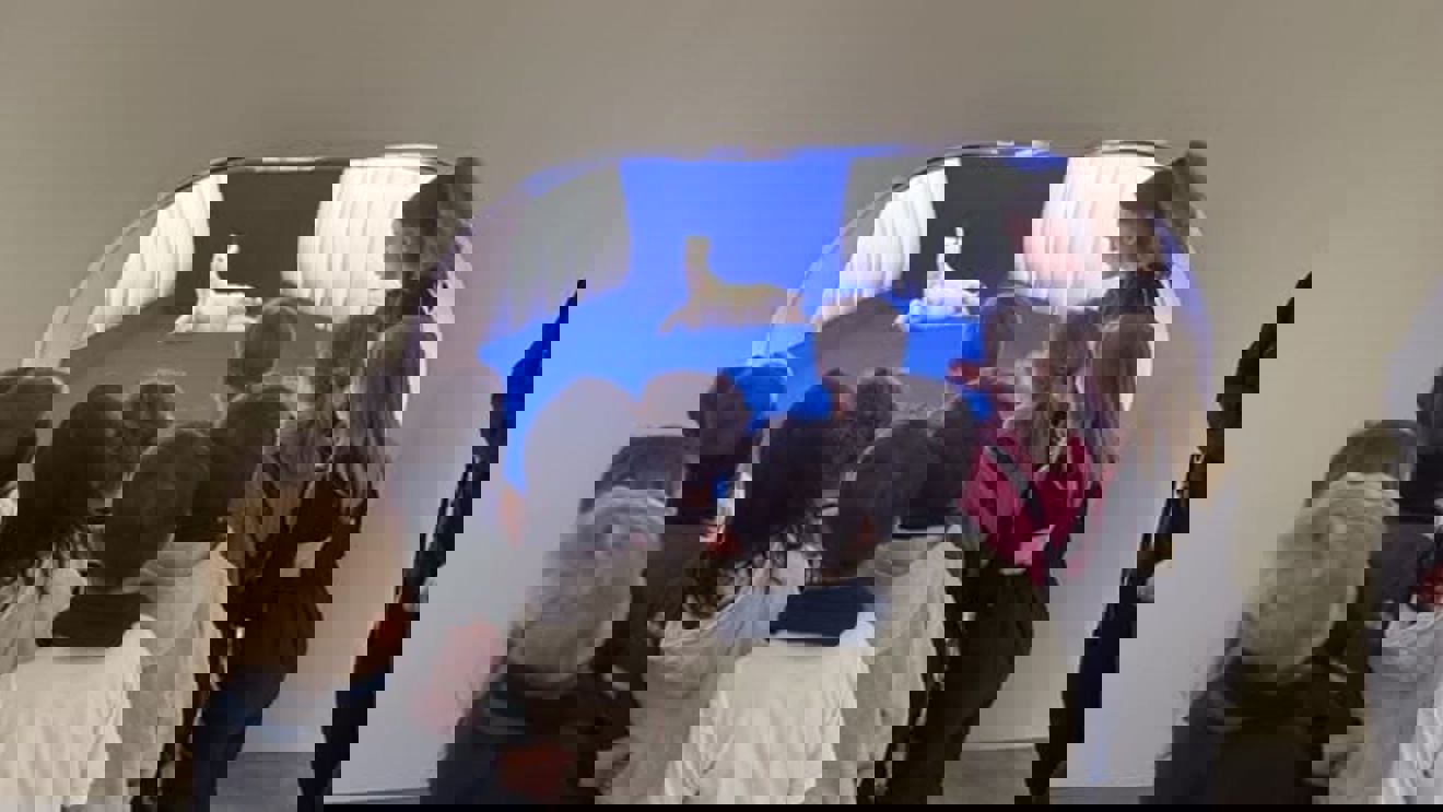 en gruppe mennesker som ser på en hund i en blå tunnel en gruppe mennesker som ser på en hund i en blå tunnel