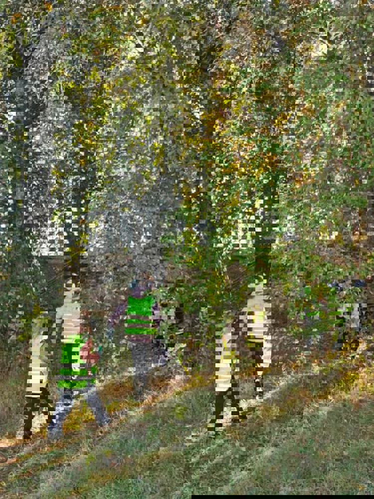 En gruppe barn som går gjennom en skog