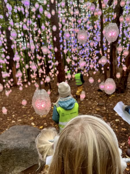 En gruppe mennesker som ser på et tre med rosa blomster