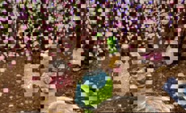 En gruppe mennesker som ser på et tre med rosa blomster