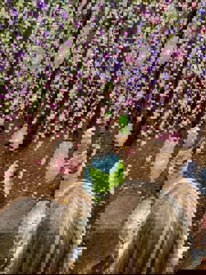 En gruppe mennesker som ser på et tre med rosa blomster