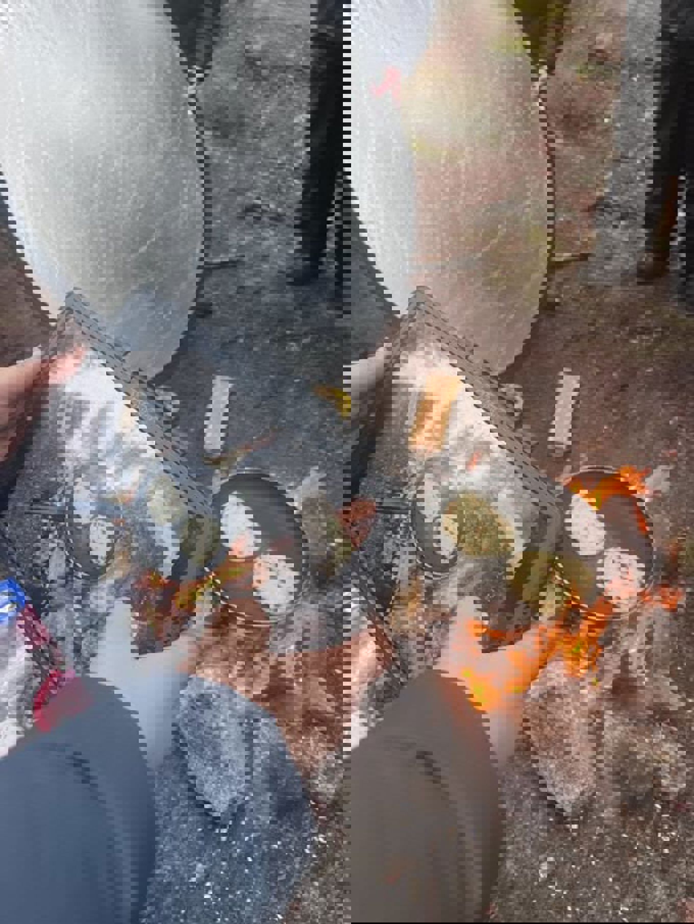 en person som holder en grill med mat