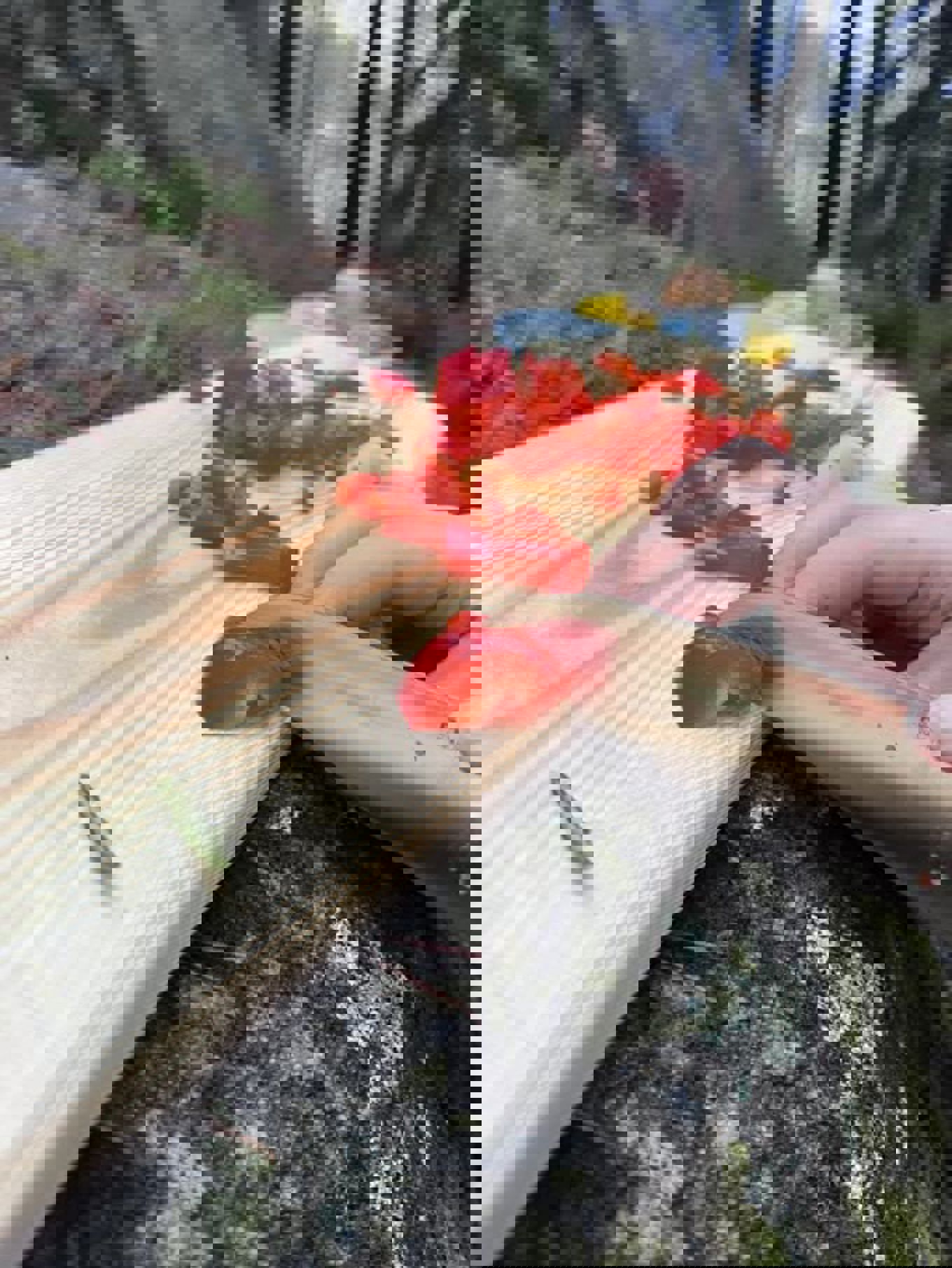 en hånd som holder et jordbær