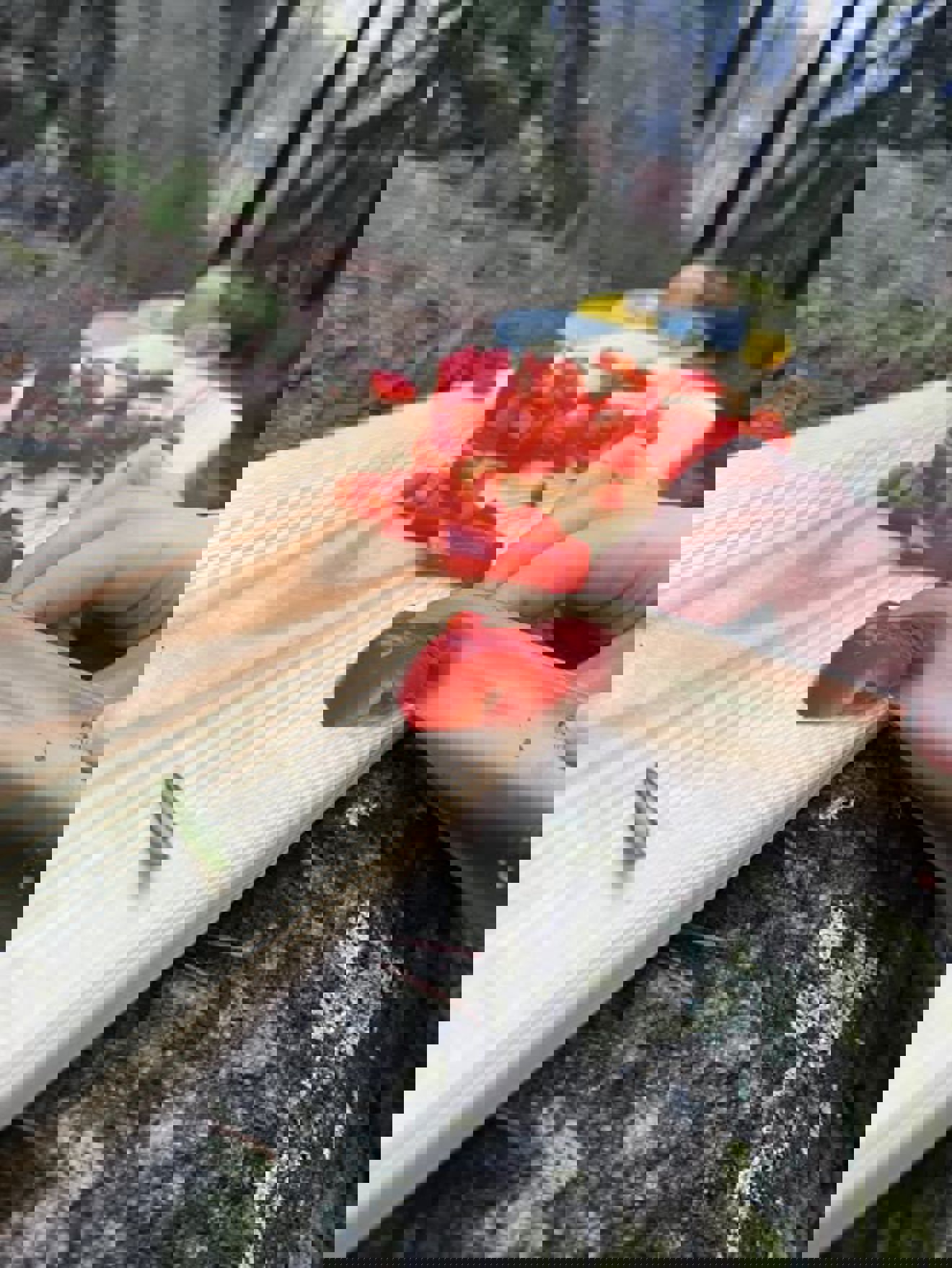 Foto: Eirik Knoop en hånd som holder et jordbær