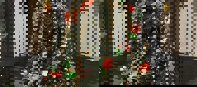 Et pyntet juletre Et pyntet juletre